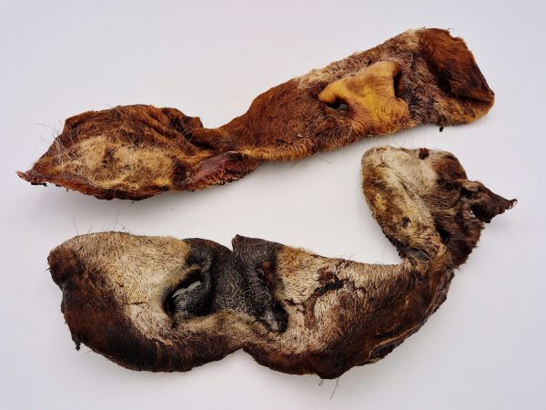 Ochsenmaulstange mit Fell